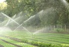 Creswick Northlandscaping-water-management-and-drainage-17.jpg; ?>